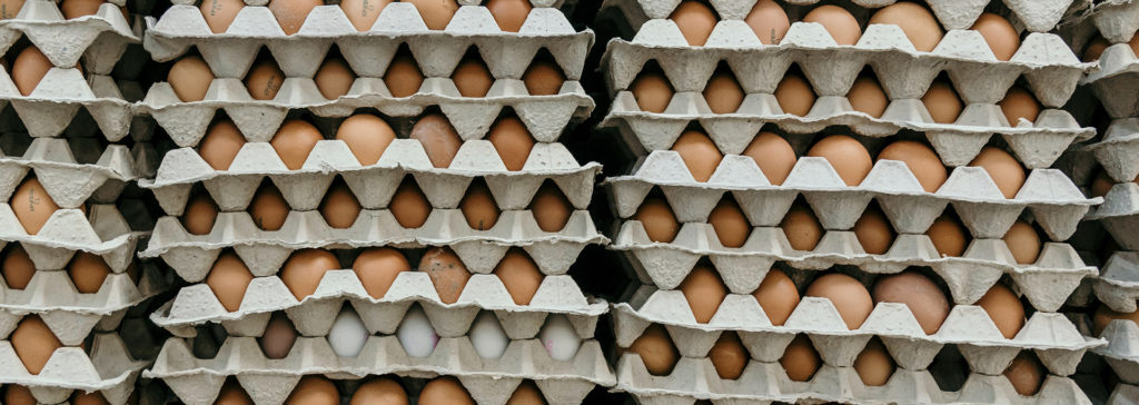 eggs in cartons